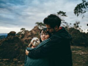 Pet Stays — Website Design Case Study