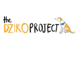 dziko-portfolio