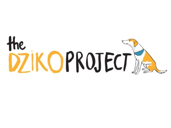 dziko-portfolio